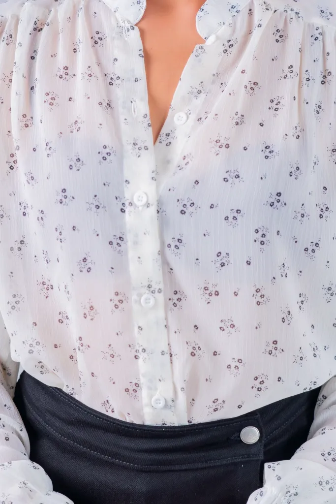 BIV04249.webp