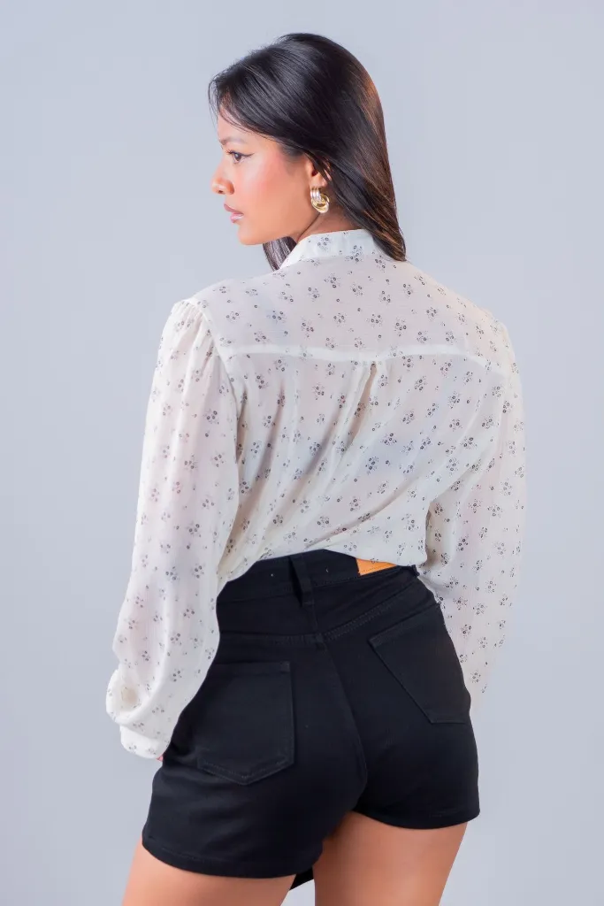 BIV04244.webp