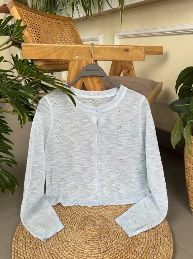 3.29642 803 BUTTON OUTER (BLUE)