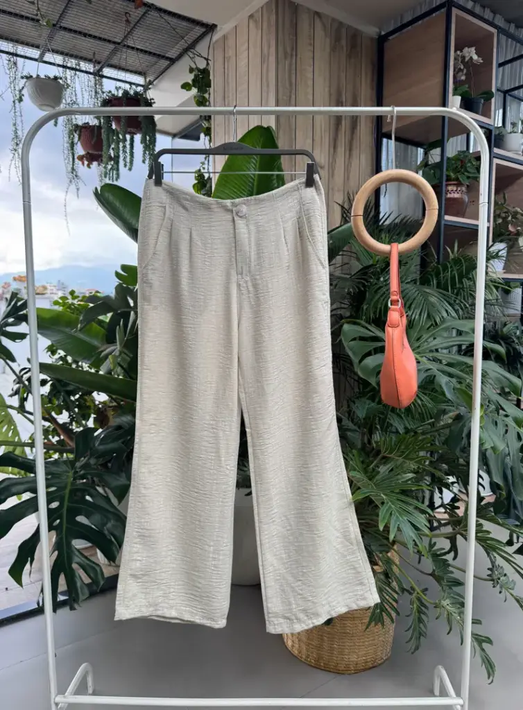 HB SS25-257 PLEATED FORMAL PANTS